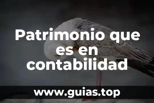 Que es patrimonio de persona moral 5 Patrimonio que es en contabilidad