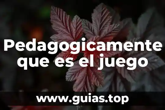Qué es teoría de juego 5 Pedagogicamente que es el juego