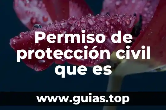 Que es el perjuicio en derecho civil 7 Permiso de protección civil que es