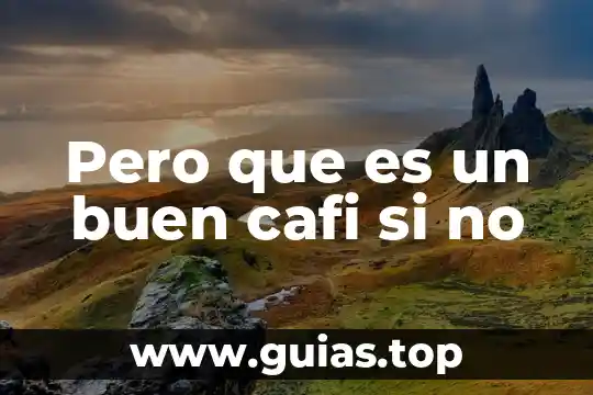 Que es vista de planta canal perfil metaliico 6 Pero que es un buen cafi si no