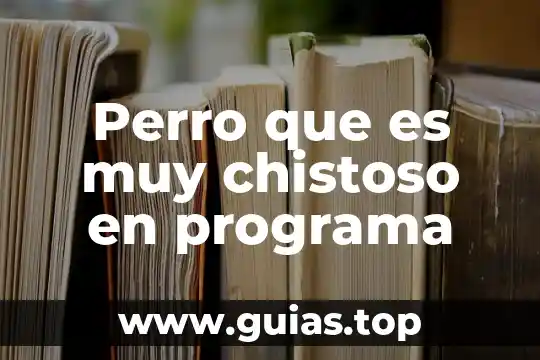 Espacio de color que es 5 Perro que es muy chistoso en programa