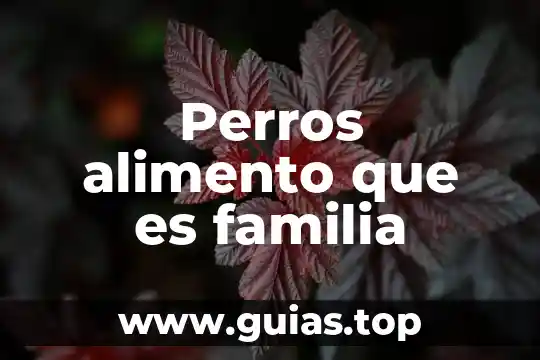 Que es equivalente de alimento 5 Perros alimento que es familia