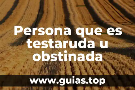 Que es ser una persona autocritica 6 Persona que es testaruda u obstinada