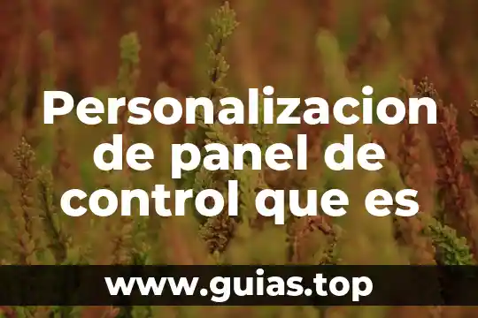 Personalizacion de panel de control que es