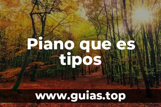 Qué es sinónimo y tipos 3 Piano que es tipos