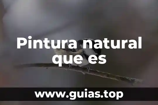 Que es un crater en una planta de pintura 3 Pintura natural que es