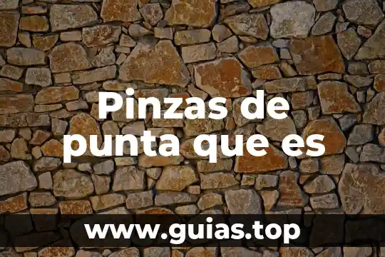 Que es caviar politica 7 Pinzas de punta que es