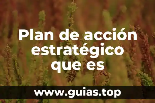 Plan de manejo que es 4 Plan de acción estratégico que es