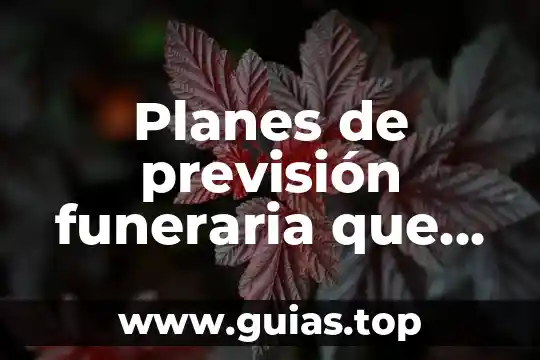 Que es educativo planes y programas 8 Planes de previsión funeraria que es