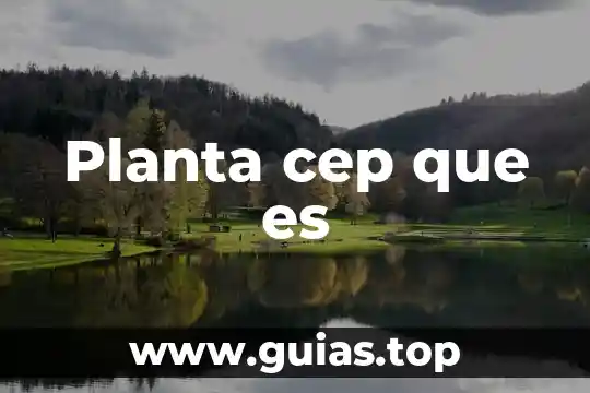 W32 keygen.hy que es 7 Planta cep que es