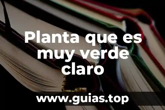 Que es sistemas modulares 4 Planta que es muy verde claro