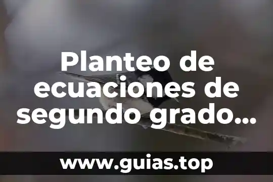 Que es un capacitor y sus ecuaciones y tipos 3 Planteo de ecuaciones de segundo grado que es y ejemplos