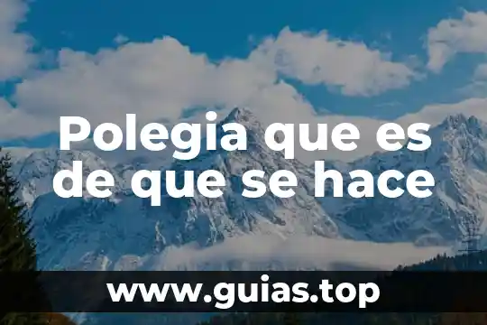 Que es un mapa menas y como se hace 4 Polegia que es de que se hace