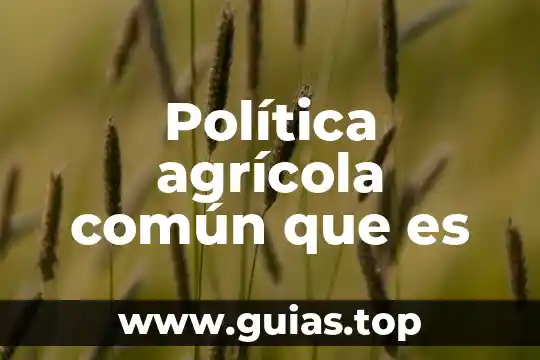Qué es el día de descanso y tipos 5 Política agrícola común que es
