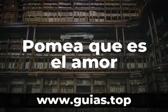 Que es el amor conclusión 8 Pomea que es el amor