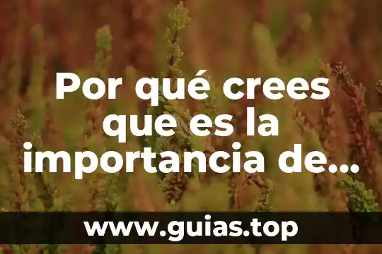 Estas preso de nuevo verdad crees que es un juego 7 Por qué crees que es la importancia de la discriminación