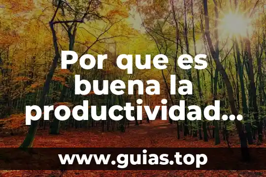 Que es una planta forma continental 3 Por que es buena la productividad laboral