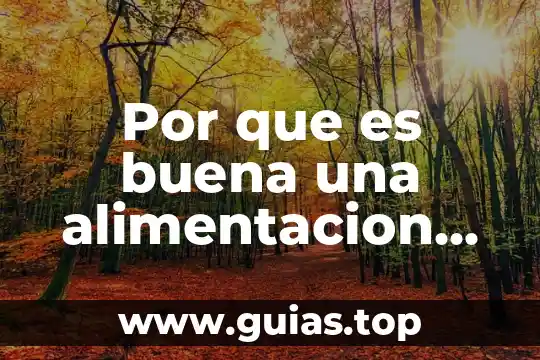 Que es lo que sana la planta del romero 3 Por que es buena una alimentacion sana