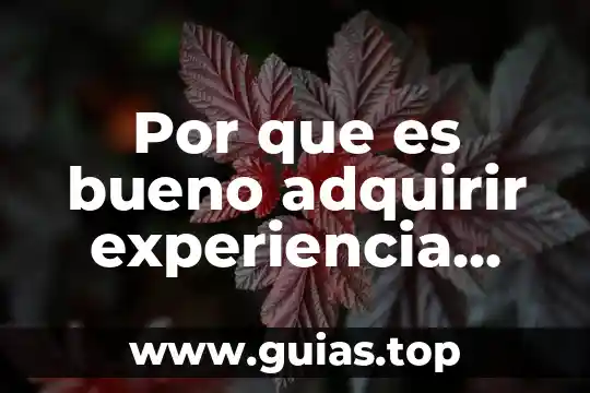 Qué es la sexualidad definición 8 Por que es bueno adquirir experiencia laboral