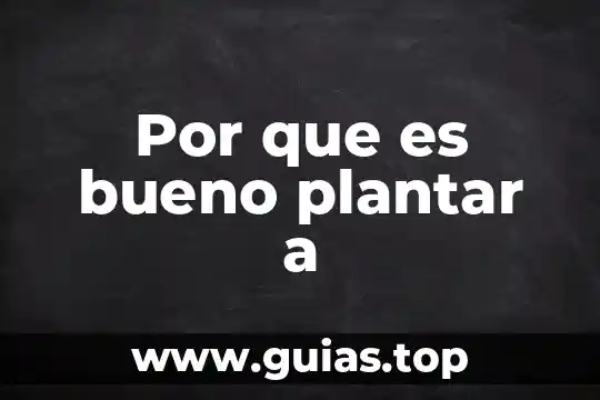 Que es queratosis plantar 7 Por que es bueno plantar a
