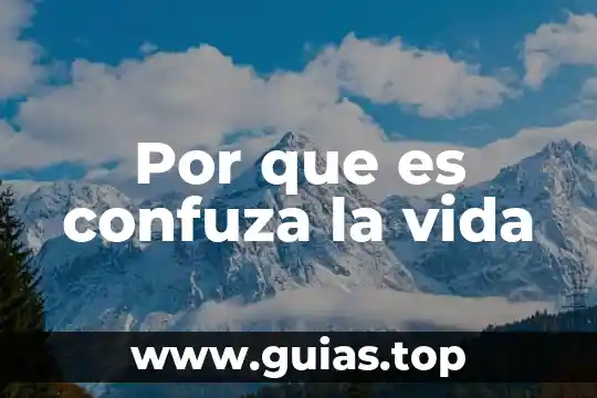Qué es el concepto de volt 8 Por que es confuza la vida