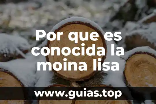 Qué es área cultural conocida como mesoamérica 5 Por que es conocida la moina lisa