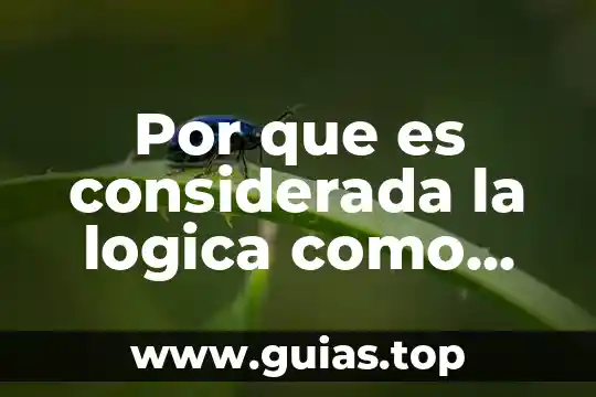 Que es una construcción lógica 7 Por que es considerada la logica como una ciencia