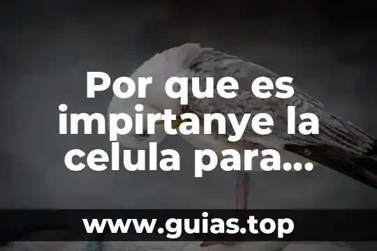 Que es un cuerpo megro 4 Por que es impirtanye la celula para nuestro cuerpo