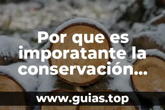 Qué es vida frenética 5 Por que es imporatante la conservación de la vida marina