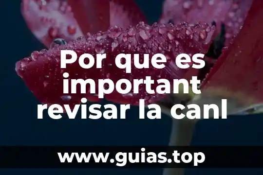 Qué es mejor estudiar sociología o psicología 4 Por que es important revisar la canl