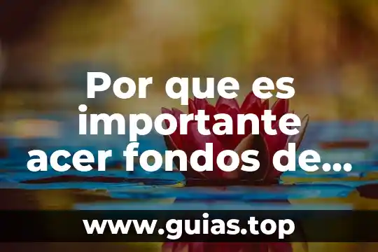 Que es una empresa administradora de fondos 7 Por que es importante acer fondos de triseps