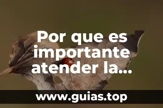 Por que es importante conocer las dinamicas grupales 4 Por que es importante atender la depresion post esquizofrenica