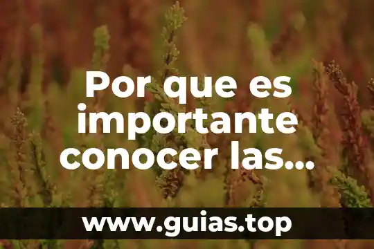 Por que es importante atender la depresion post esquizofrenica 7 Por que es importante conocer las dinamicas grupales