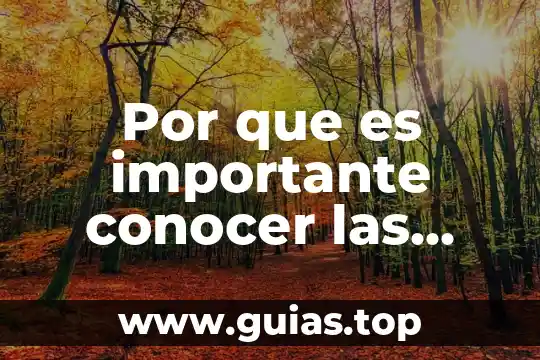 Por que es importante hacer un examen de reflejos osteotendinosos 6 Por que es importante conocer las nifs