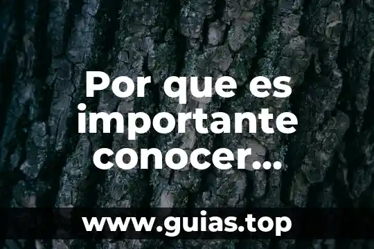 Por que es importante conocer el tipo de sangre 7 Por que es importante conocer nuestro disparadores
