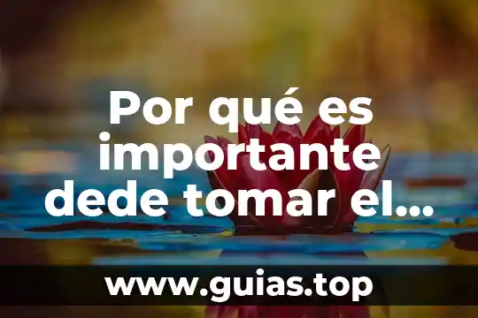 Para que es bueno tomar agua marina 5 Por qué es importante dede tomar el agua