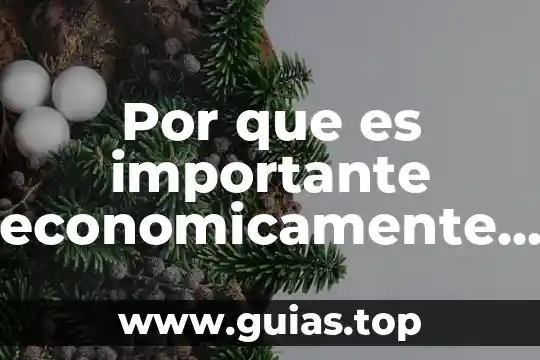 Que es importante de ser padre y madre 7 Por que es importante economicamente el litio