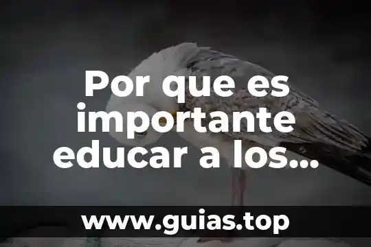 Por que es importante para farmacias Guadajara el logotipo 4 Por que es importante educar a los hijos