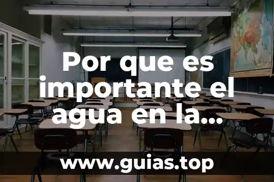 Por que es importante el dinero 7 Por que es importante el agua en la ganaderia