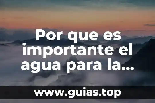Porcentaje del cuerpo humano que es agua 5 Por que es importante el agua para la agricultura