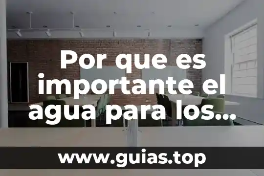 Para ti que es importante la historia en tu vida 4 Por que es importante el agua para los animales