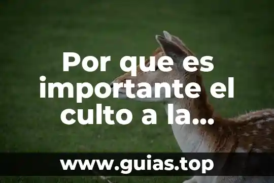 Por que es importante un manual de mantenimiento 7 Por que es importante el culto a la verdad