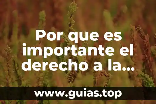 Por que es importante ser cursi 6 Por que es importante el derecho a la educacion