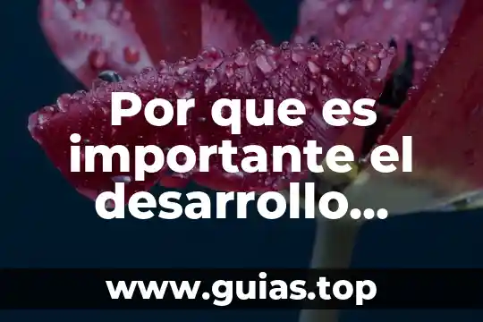 Que es un artículo deportivo 7 Por que es importante el desarrollo fisico deportivo