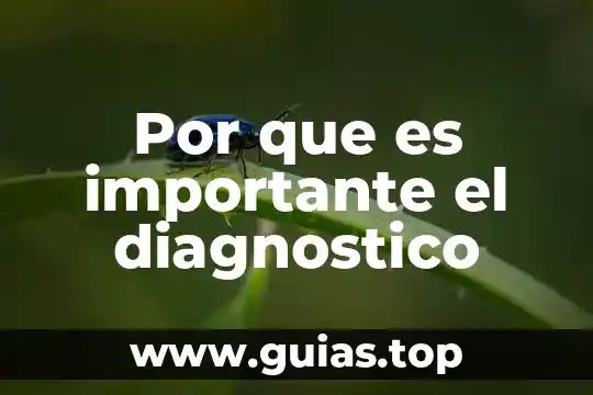 Software de diagnostico que es 3 Por que es importante el diagnostico