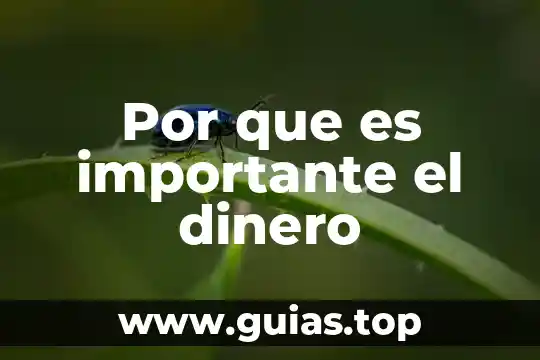 Dores y por qué es tan importante ranking de emprende 5 Por que es importante el dinero