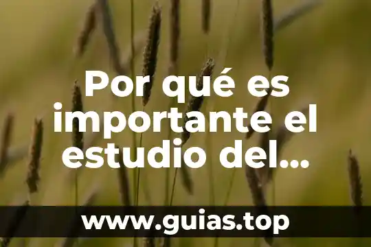 Que es la muerte estudio biblico 4 Por qué es importante el estudio del desarrollo neuropsicológico