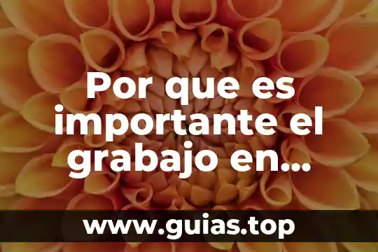 Por que es importante el grabajo en equipo