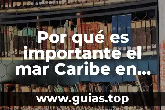 Para que es el bautismo en agua 7 Por qué es importante el mar Caribe en nuestro estado