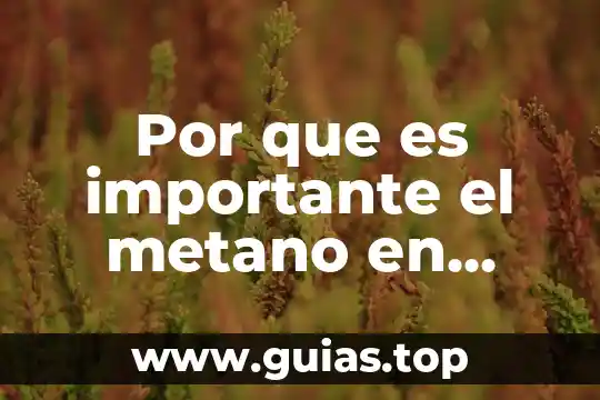Por que es importante hacer un examen de reflejos osteotendinosos 7 Por que es importante el metano en nuestro entorno